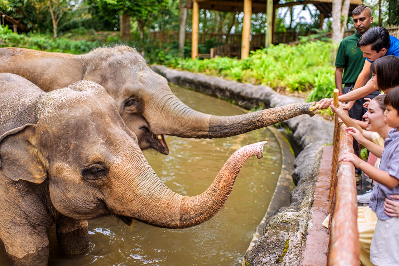 シンガポール動物園：1日入場券Eチケット | GetYourGuide